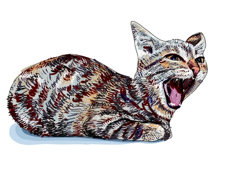 The little cute cat is yawningのイラスト素材