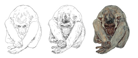 Drawing of little monkeyのイラスト素材