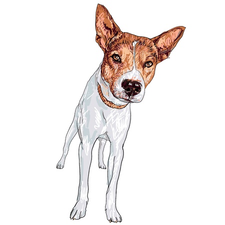 The local thai dog in perspective viewのイラスト素材