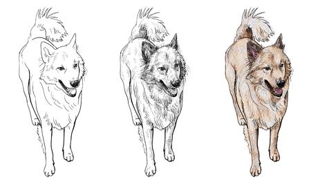 The half-breed dogのイラスト素材