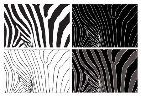 The pattern vector of zebraのイラスト素材