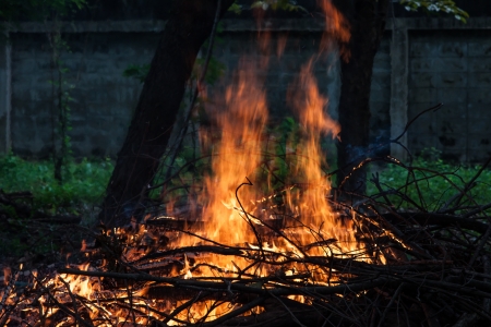 Fire is burning dry twigs in a garden の写真素材