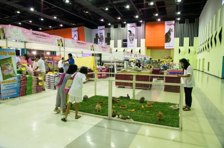 BANGKOK,THAILAND- JULY 27: Thailand Cat Show 2013,13th.The show many kinds of cats and kittens cat and other small animal for the pet lover July 27,2013 in Bangkok,Thailandのeditorial素材