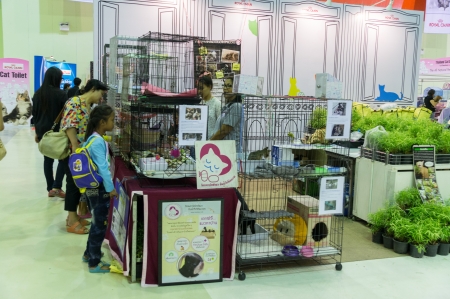 BANGKOK,THAILAND- JULY 27: Thailand Cat Show 2013,13th.This zone for finding home cat for the pet lover who want to adopt it  July 27,2013 in Bangkok,Thailandのeditorial素材