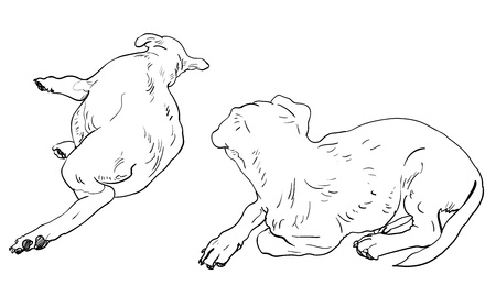 The back side of 2  laying down dogs のイラスト素材