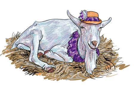 The goat that wear hat  lay down on haystackのイラスト素材