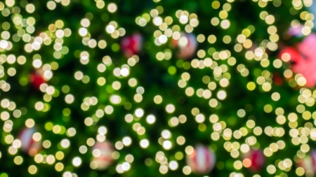 Bokeh or blur background from christmas treeの写真素材