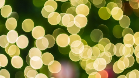 Bokeh background from christmas treeの写真素材