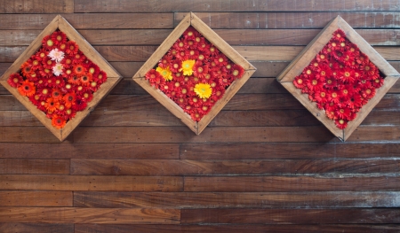 Chrysanthemum flowers decorated in wooden frame hang on the wooden wallの写真素材
