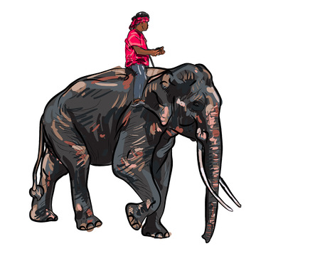 Elephant show and training with mahoutのイラスト素材