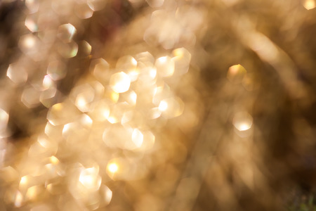 Blinking bokeh of christmas treeの写真素材