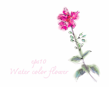 Water color flower on white background,tracing vectorのイラスト素材