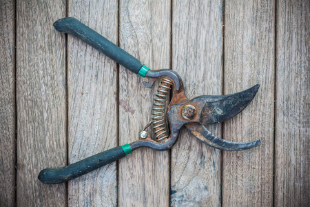 Old used prunning shear on old wooden logの写真素材