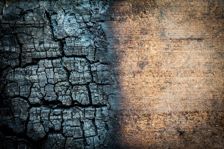 Close up of burnt log with unburnt area for use as backgroundの写真素材