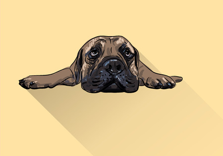 Drawing of  lying bull mastiff with long shadow on yellow backgroundのイラスト素材