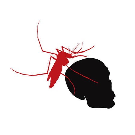 Red mosquito hold on human skull,concept for illness and healthのイラスト素材