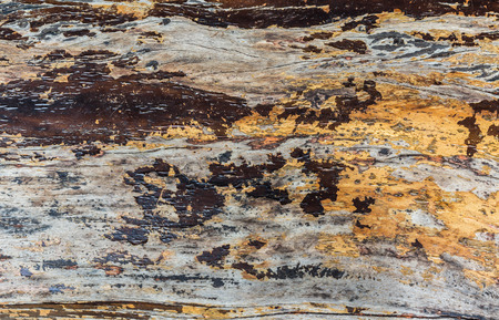Texture and color of old plank use as background