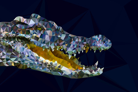 Low poly gemotric of crocodile head on dark blue backgroundのイラスト素材
