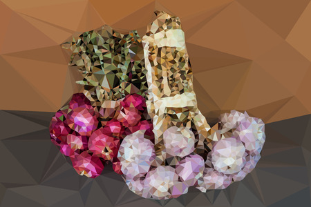 Low poly bunch of garlic and shallot,, Vector illustration triangular styleのイラスト素材