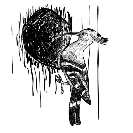 Drawing of woodpecker bird with hole on treeのイラスト素材