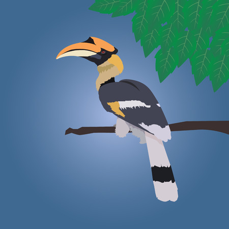 Great hornbill stand on the branch on blue background with leafのイラスト素材