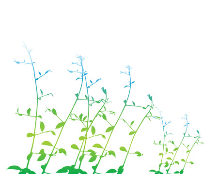 Color leaf and branch on white backgroundのイラスト素材