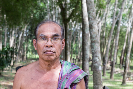 Thai aged gardener man wearing no shirt standing in rubber tree gardenの写真素材