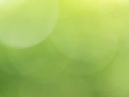 Abstract green bokeh background  by de focus green leaf and treeの写真素材