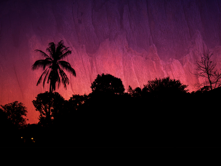 Silhouette of tree against vivid purple sky with texture of bark behindの写真素材