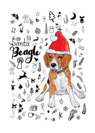 Beagle dog wear Santa's red hat with Santa Beagle lettering and accessory for Christmas on white background. vector illustration.のイラスト素材