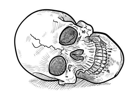 Drawing of human skull with shadow isolated on white. vector illustration.のイラスト素材