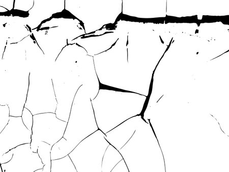 The intricate pattern of cracked lines. The monochromatic design captures the natural formation of...