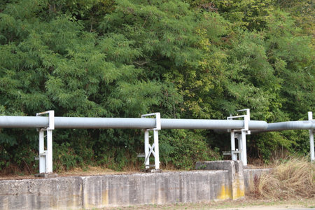 The section of an above-ground pipeline, with forest in the background