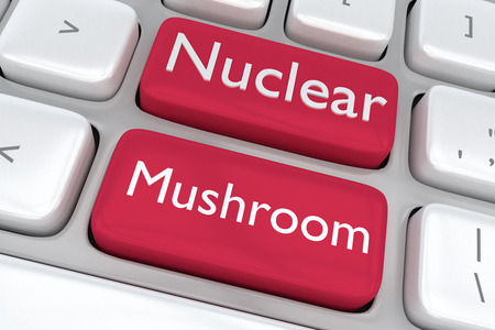 Render illustration of computer keyboard with the print Nuclear Mushroom on two adjacent red buttons