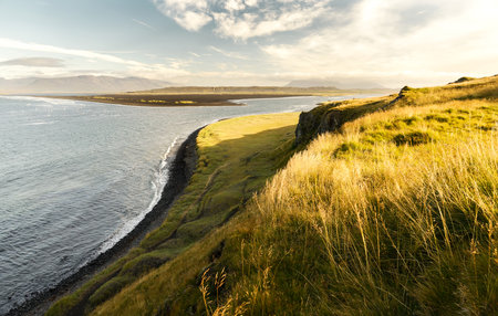 Bay on Iceland with green grassの写真素材
