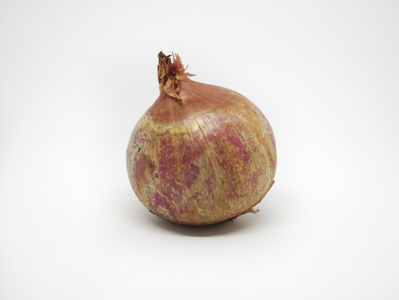 onion on a white background (selective focus)の写真素材