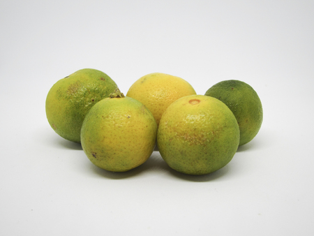 Lime on a white background (selective focus)の写真素材