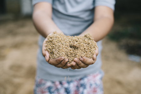 kid showing a sand with hand (selective focus).kids growth developmant,kids activity,kids hygiene conceptの写真素材
