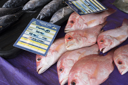 Kelana Jaya,Petaling Jaya,Selangor,Malaysia-11th November 2017 ; pile of a red snapper fish with price tag for sale at local fresh market (pasar tani fama).のeditorial素材