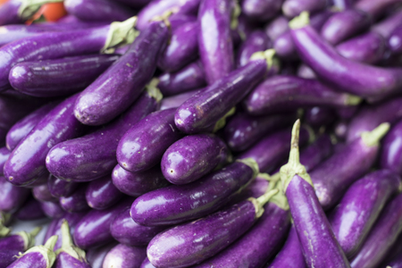 pile of eggplant for sale at local fresh marketの写真素材