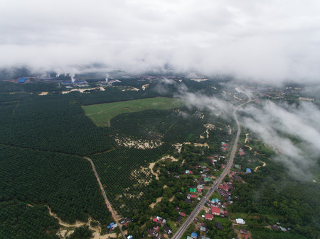 aerial view of a village near palm oil plantation and industrial zone in Kuala Krai,kelantan,malaysiaの写真素材