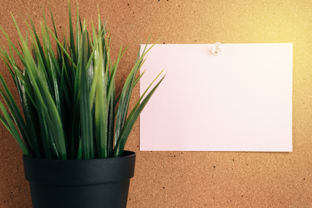 Blank paper note on cork board with green plant in pot. memo concept. blank note for copy space or typographyの写真素材
