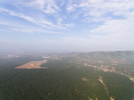 Aerial view uf a rural farmland with misty environment in the morningの写真素材
