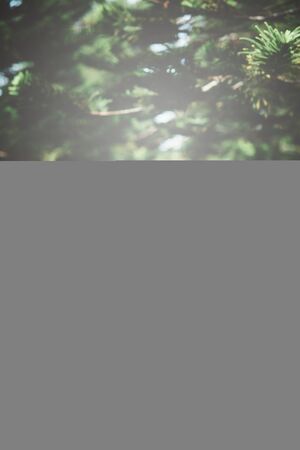 little asian girl lying down beside her teddy bear. Concept of childhood and tendernessの写真素材