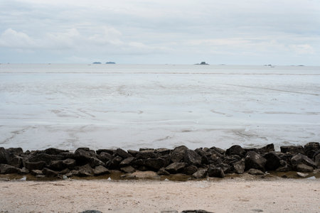 Landscape view of a muddy beach at low tideの写真素材
