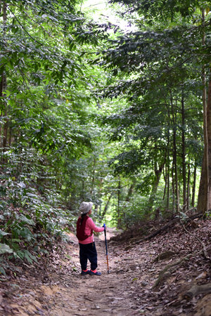 Petaling Jaya Malaysia - 07 August 2022 : Little girl trekking alone in forest. Concept of adventureのeditorial素材