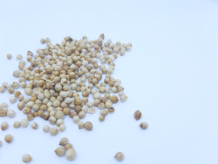 close up of dried coriander seeds isolated on white backgroundの写真素材