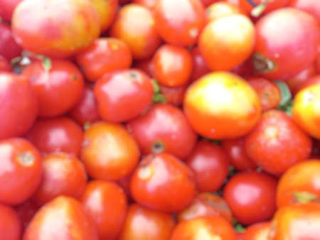 Defocused abstract background of Tomatoesの写真素材