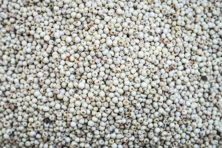 Sarawak, Malaysia - October 26, 2019 : milled fresh white pepperの写真素材