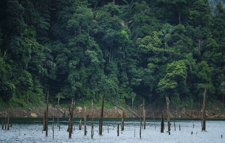 A beautiful waterfall scene at Kenyir Lake, Terengganu, Malaysia. Kenyir Lake also known as Tasik Kenyir, it is the largest man-made lake in South East Asia with an area of 260,000 hectaresの写真素材